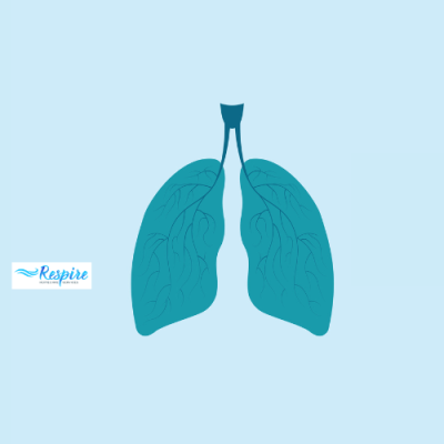 Illustration of lungs